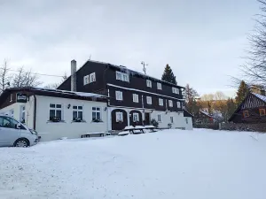 Prodej ubytování, Mařenice, 497 m2