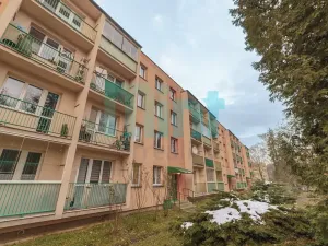 Pronájem bytu 1+kk, Havířov, Balzacova, 24 m2