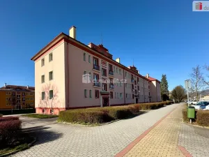 Prodej bytu 2+1, Ostrov, Hlavní třída, 75 m2