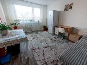 Prodej bytu 1+1, Praha - Troja, Krynická, 29 m2