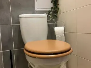 Prodej bytu 3+1, Kamenice, Ringhofferova, 72 m2