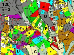 Dražba lesa, Jílové u Držkova, 151 m2