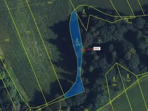 Dražba lesa, Spešov, 500 m2