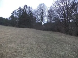 Dražba pole, Tis u Blatna, 6625 m2