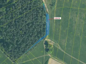 Dražba lesa, Přeborov, 1165 m2