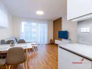 Pronájem bytu 2+kk, Hradec Králové - Nový Hradec Králové, Antonína Petrofa, 50 m2