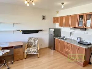 Pronájem bytu 1+kk, Mníšek pod Brdy, Ke škole, 24 m2