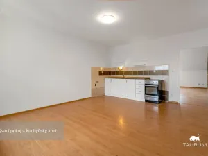 Prodej bytu 2+kk, Plzeň - Jižní Předměstí, Karlova, 51 m2