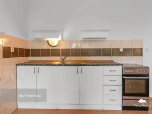 Prodej bytu 1+1, Plzeň - Jižní Předměstí, Karlova, 51 m2