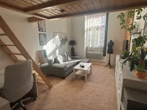 Pronájem bytu 1+kk, Praha - Smíchov, Zoubkova, 27 m2