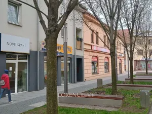 Pronájem obchodního prostoru, Veselí nad Moravou, Sokolovská, 116 m2