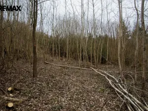 Prodej zahrady, Brtnice, 2388 m2