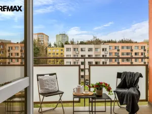 Prodej bytu 2+1, Příbram - Příbram VII, Pod Čertovým pahorkem, 58 m2