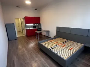 Pronájem bytu 1+kk, Praha - Libeň, Kurta Konráda, 39 m2