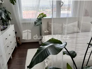 Pronájem bytu 2+1, Roudnice nad Labem, Alej 17. listopadu, 63 m2