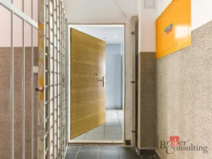 Prodej bytu 2+kk, Praha - Žižkov, Hartigova, 53 m2