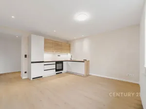 Prodej bytu 3+kk, Ostrava, Balcarova, 60 m2