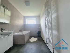 Prodej vícegeneračního domu, Stará Paka - Ústí, 300 m2