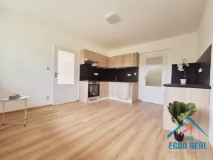 Prodej vícegeneračního domu, Stará Paka - Ústí, 300 m2