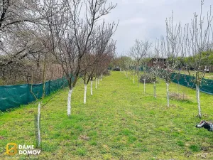 Prodej zahrady, Vracov, 1001 m2