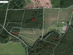 Prodej lesa, Maršovice - Zderadice, 23269 m2