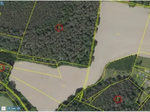 Prodej lesa, Maršovice - Zderadice, 23269 m2