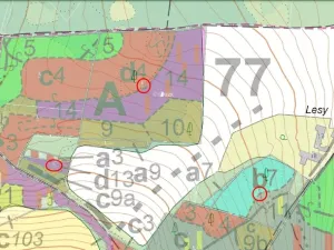 Prodej lesa, Maršovice - Zderadice, 23269 m2