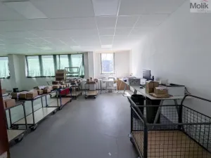 Pronájem výrobních prostor, Teplice, Pražská, 1185 m2