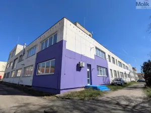 Pronájem výrobních prostor, Teplice, Pražská, 1185 m2