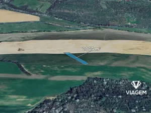 Prodej podílu pole, Újezdec, 955 m2