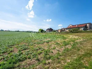 Prodej pozemku pro bydlení, Dobrovice - Úherce, 1121 m2