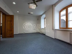 Pronájem obchodního prostoru, Mladá Boleslav - Mladá Boleslav I, Vodkova, 298 m2