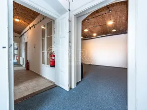 Pronájem obchodního prostoru, Mladá Boleslav - Mladá Boleslav I, Vodkova, 298 m2