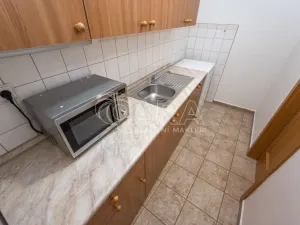 Pronájem obchodního prostoru, Mladá Boleslav - Mladá Boleslav I, Vodkova, 298 m2