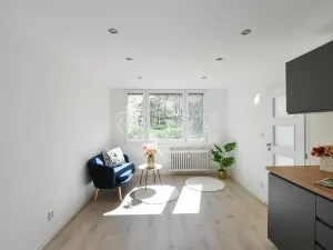 Prodej bytu 2+kk, Praha - Krč, Hurbanova, 39 m2