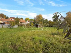 Prodej pozemku pro bydlení, Koleč, 1133 m2