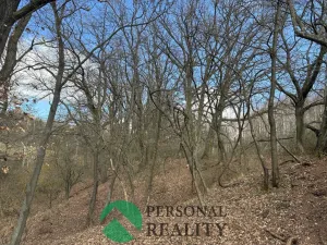 Prodej lesa, Hořovičky - Hokov, 43588 m2