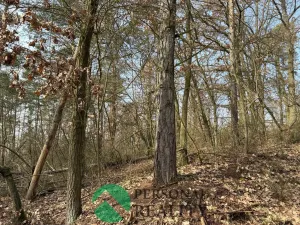 Prodej lesa, Hořovičky - Hokov, 43588 m2