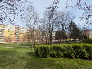 Pronájem bytu 2+kk, Most, Josefa Ševčíka, 40 m2