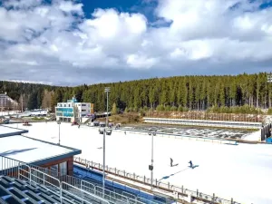 Prodej rodinného domu, Nové Město na Moravě, Šimkova, 136 m2