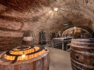 Prodej ubytování, Brod nad Dyjí, 588 m2