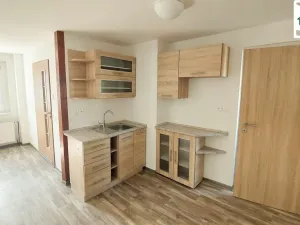 Pronájem výrobních prostor, Mariánské Lázně - Úšovice, U Mlékárny, 176 m2