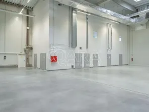 Pronájem skladu, Divišov, 2398 m2