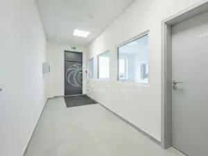 Pronájem skladu, Divišov, 2398 m2