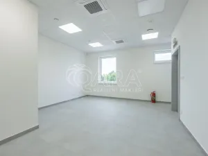 Pronájem skladu, Divišov, 2398 m2