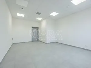 Pronájem skladu, Divišov, 2398 m2