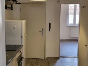 Pronájem bytu 2+1, Brno, Maškova, 42 m2