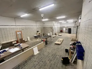 Pronájem výrobních prostor, Prostějov, Vrahovická, 170 m2