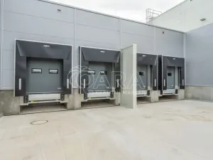 Pronájem skladu, Divišov, 2922 m2