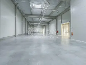 Pronájem skladu, Divišov, 2922 m2